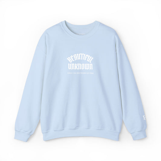 Beautiful Unknown Embroidered Crewneck Sweatshirt